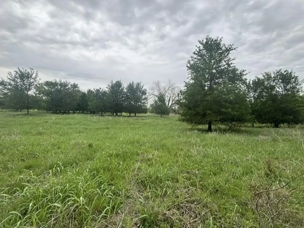 12155 E Travis Street Holland TX 76534