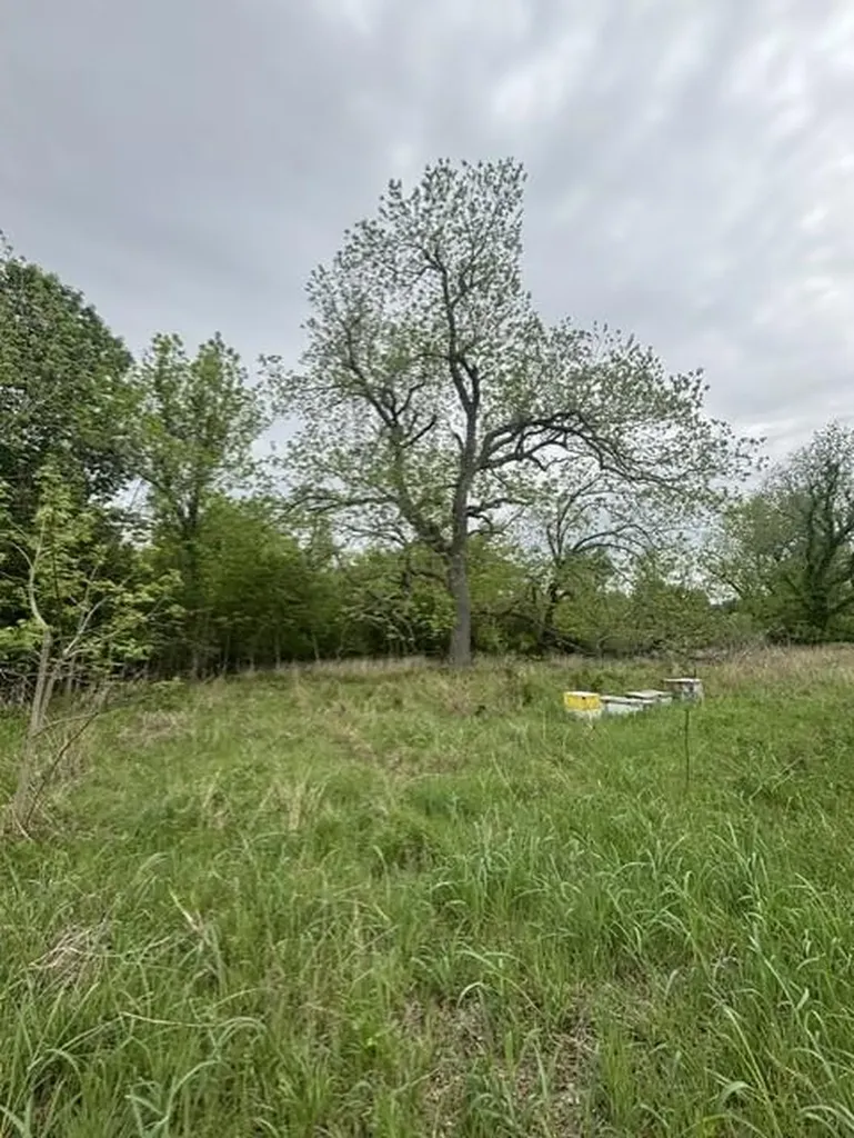 12155 E Travis Street Holland TX 76534
