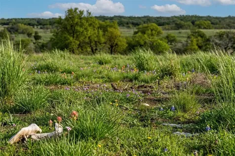 Lot 8 Maddalena Lane Dripping Springs TX 78620