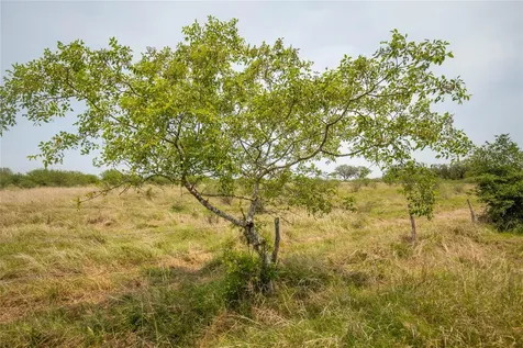 0 Green Dewitt Road Cuero TX 77954