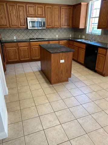 3713 Turetella Drive Round Rock TX 78681