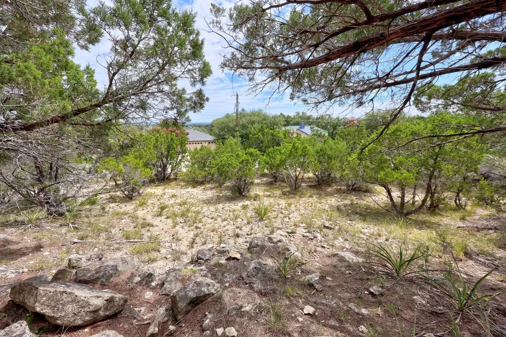 20801 Leaning Oak Drive Lago Vista TX 78645