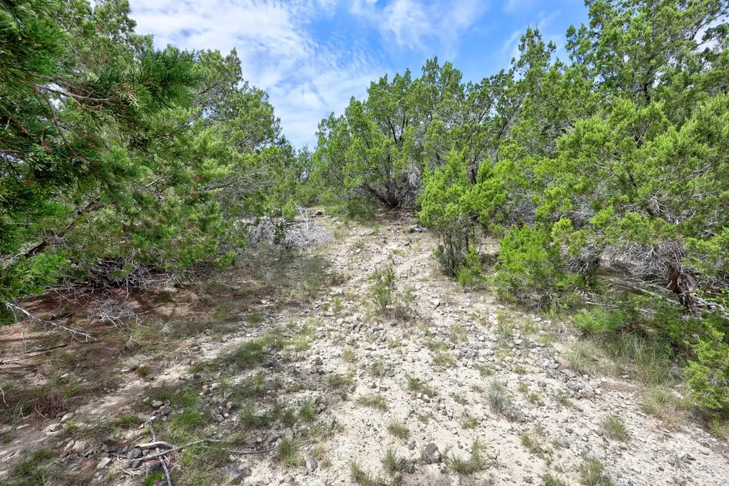 20801 Leaning Oak Drive Lago Vista TX 78645