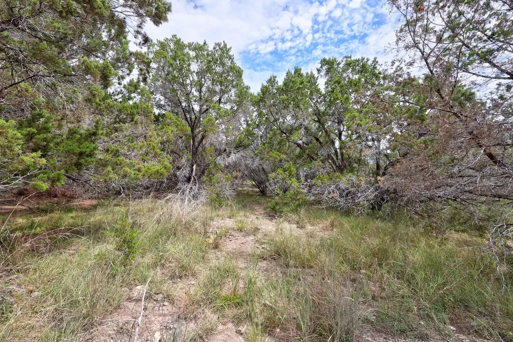 20801 Leaning Oak Drive Lago Vista TX 78645