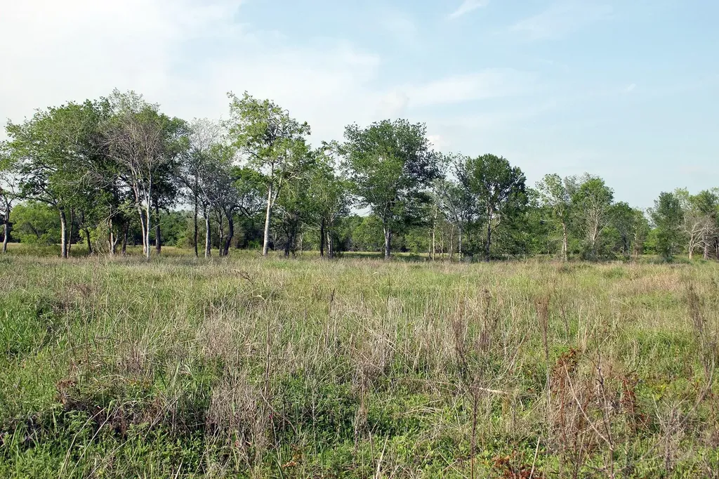 3223 Old Kelley Road Lockhart TX 78644