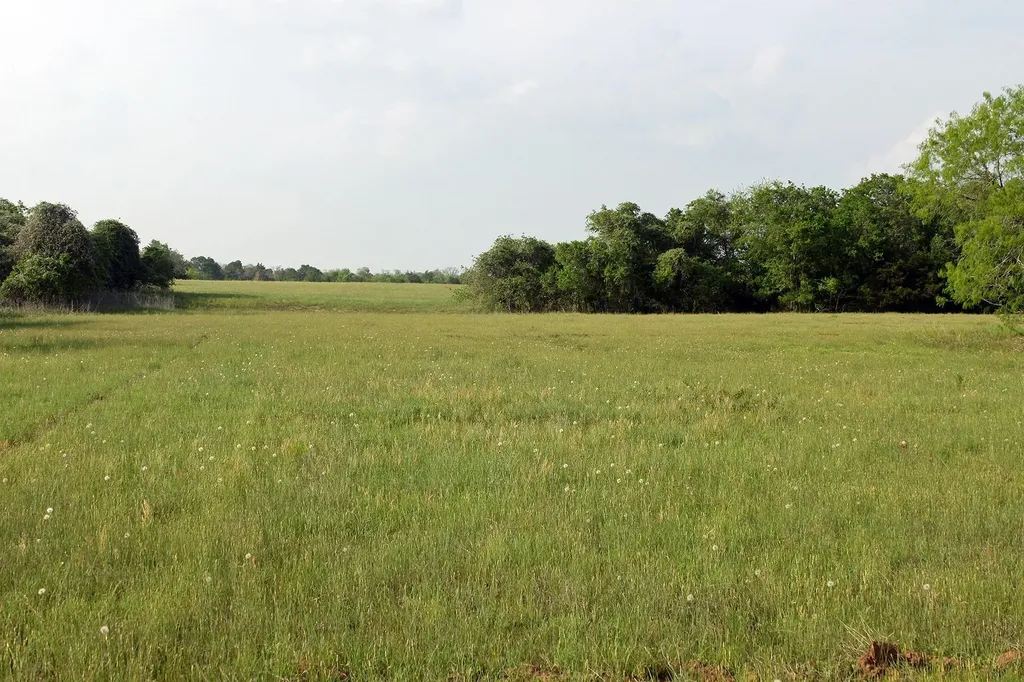 3223 Old Kelley Road Lockhart TX 78644