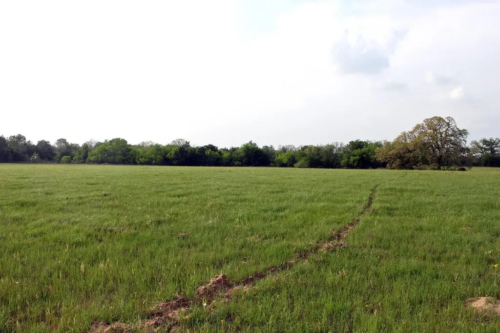 3223 Old Kelley Road Lockhart TX 78644