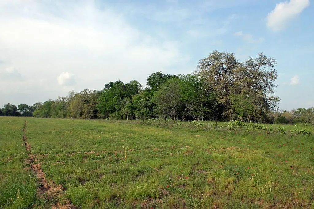 3223 Old Kelley Road Lockhart TX 78644