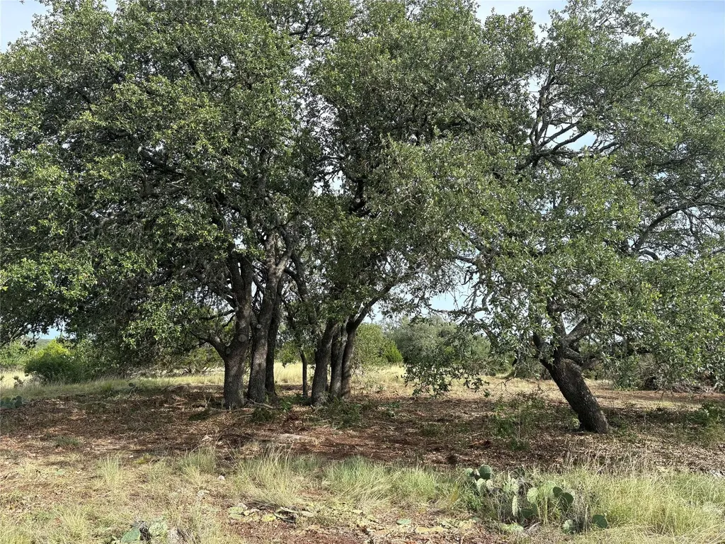 831 Hidden Creek Drive Dripping Springs TX 78620