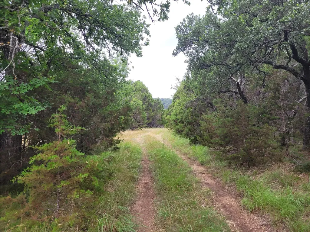 9680 Us Highway 190 E Kempner TX 76539