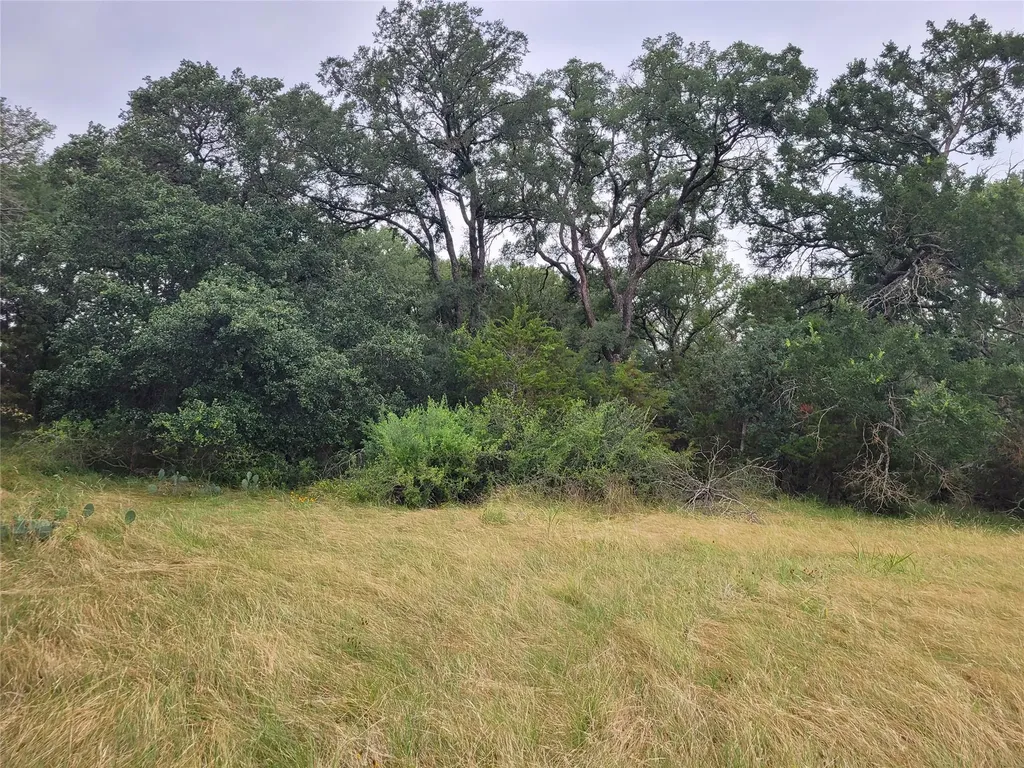 9680 Us Highway 190 E Kempner TX 76539