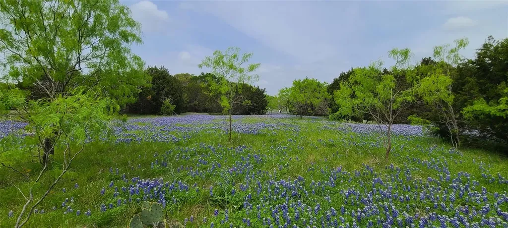 9680 Us Highway 190 E Kempner TX 76539