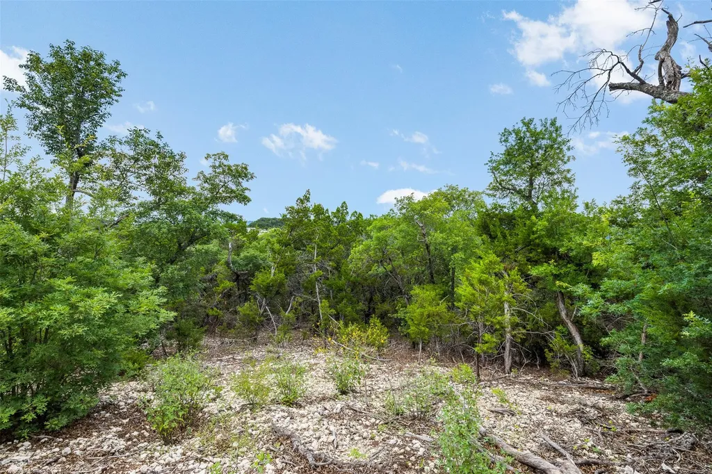 11207 Mountain Top Circle Jonestown TX 78645