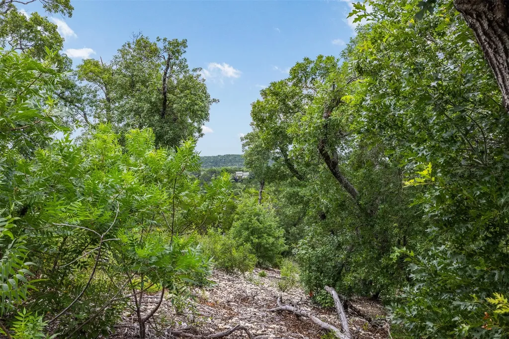 11207 Mountain Top Circle Jonestown TX 78645