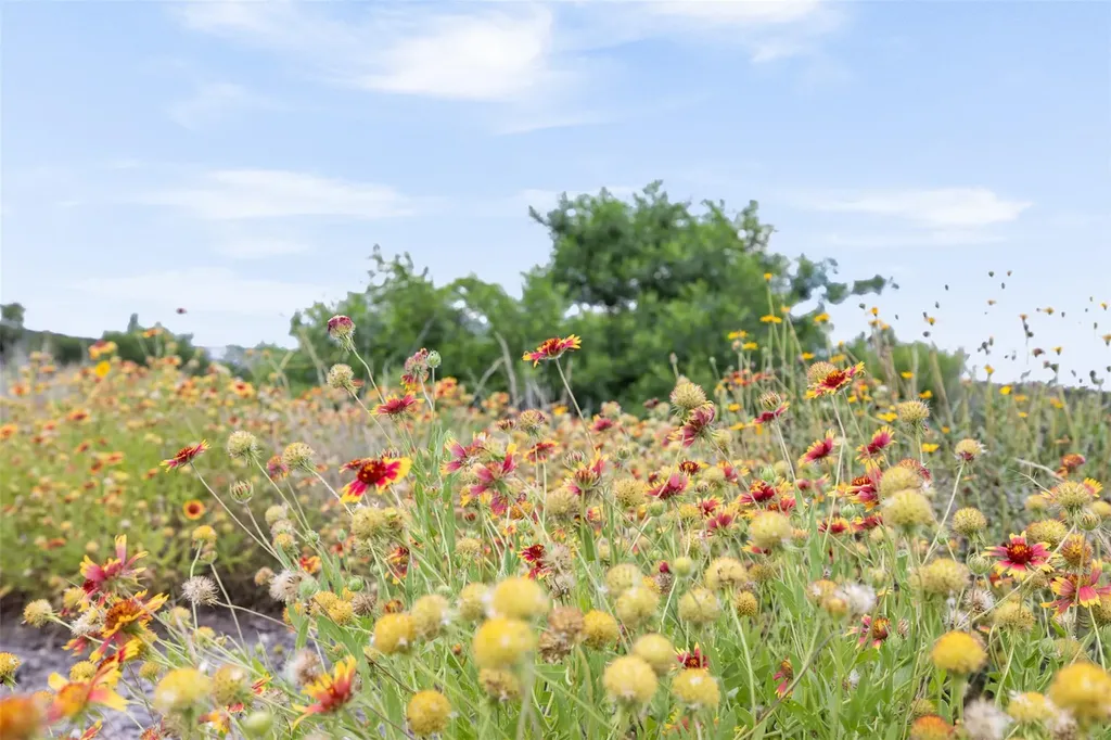 11207 Mountain Top Circle Jonestown TX 78645