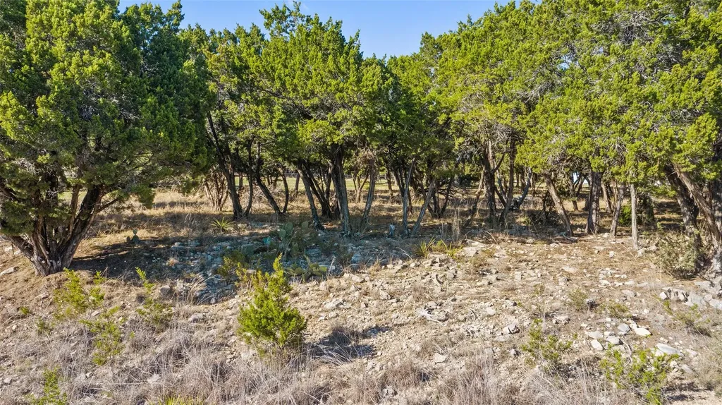 18509 Flying J Boulevard Spicewood TX 78669