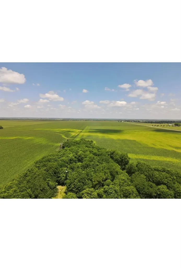 13732 Chandler Road Taylor TX 76574