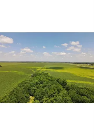 13732 Chandler Road Taylor TX 76574