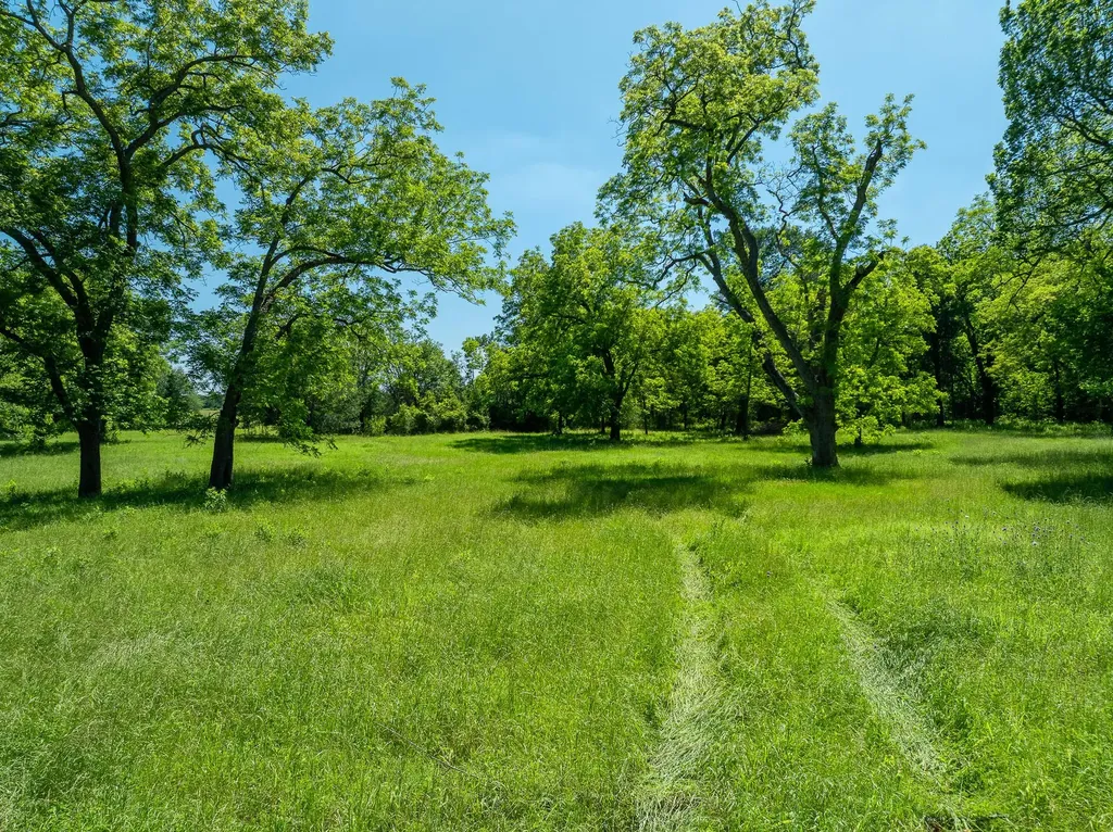 400 619 Spur Elgin TX 78621