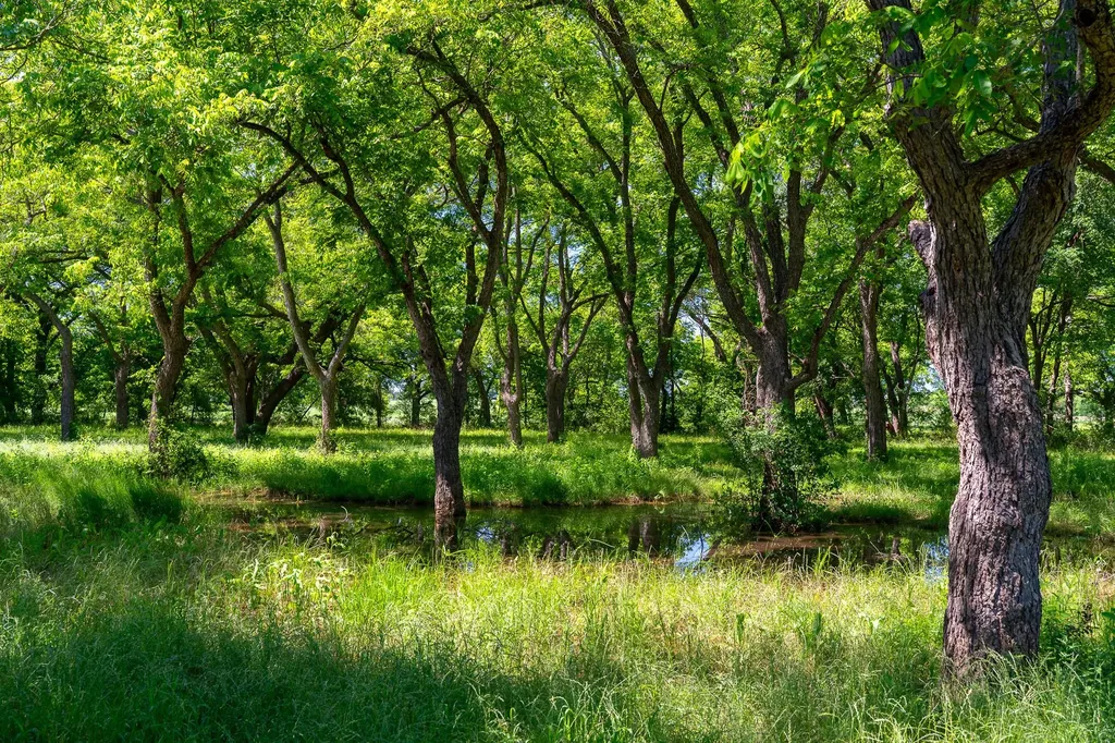 400 619 Spur Elgin TX 78621