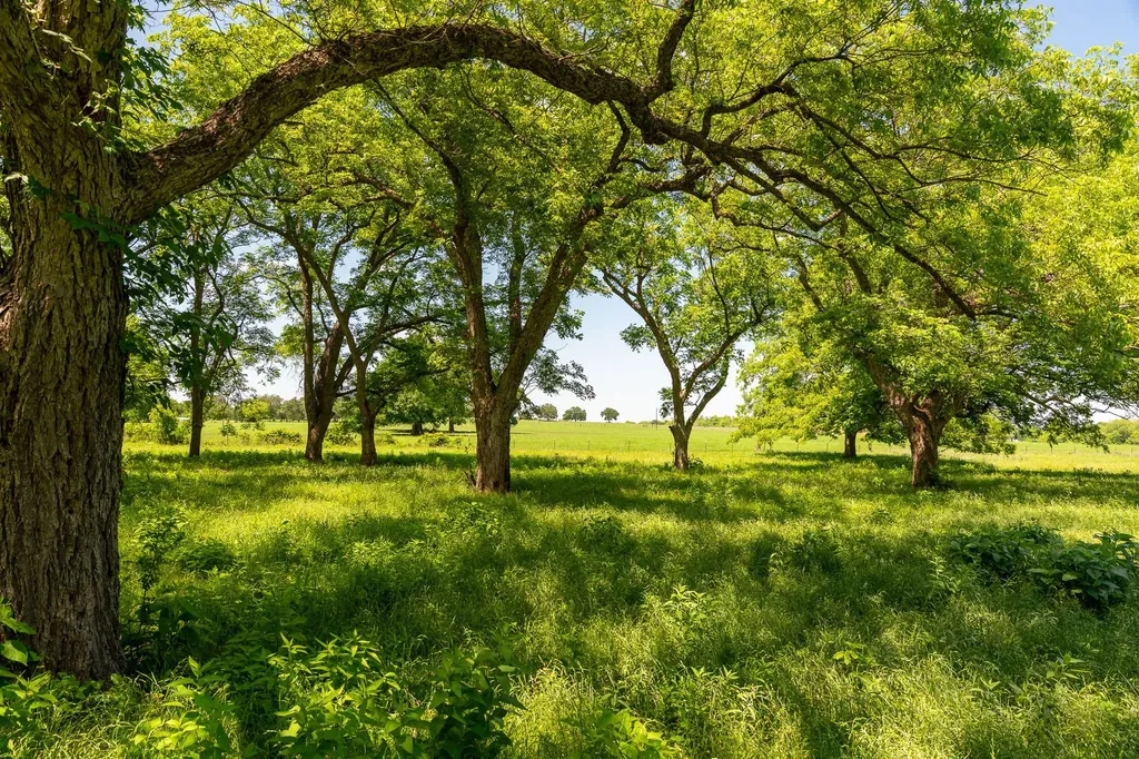 400 619 Spur Elgin TX 78621