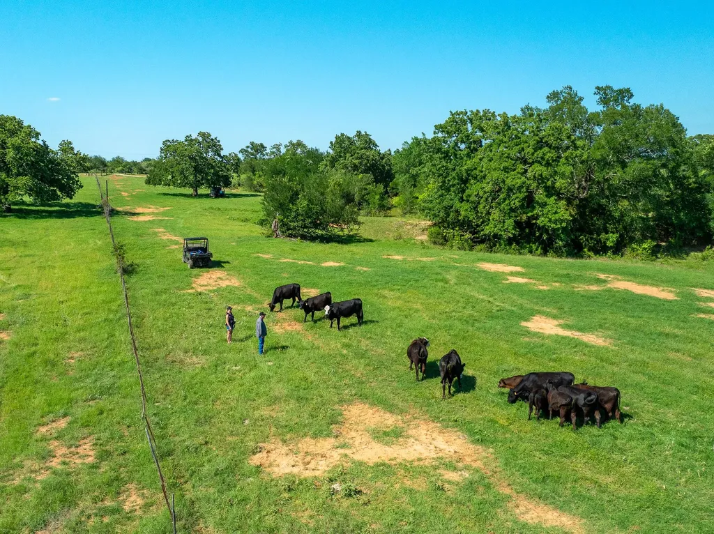 400 619 Spur Elgin TX 78621