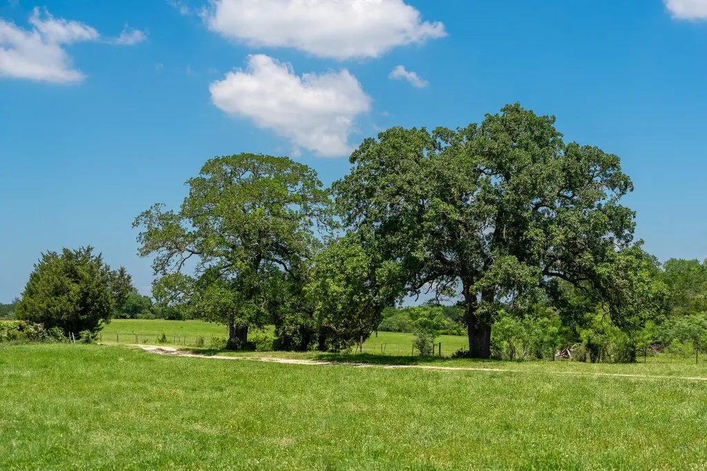 400 619 Spur Elgin TX 78621