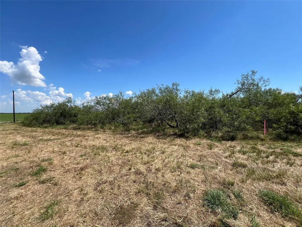2630 Cr 466 Elgin TX 78621