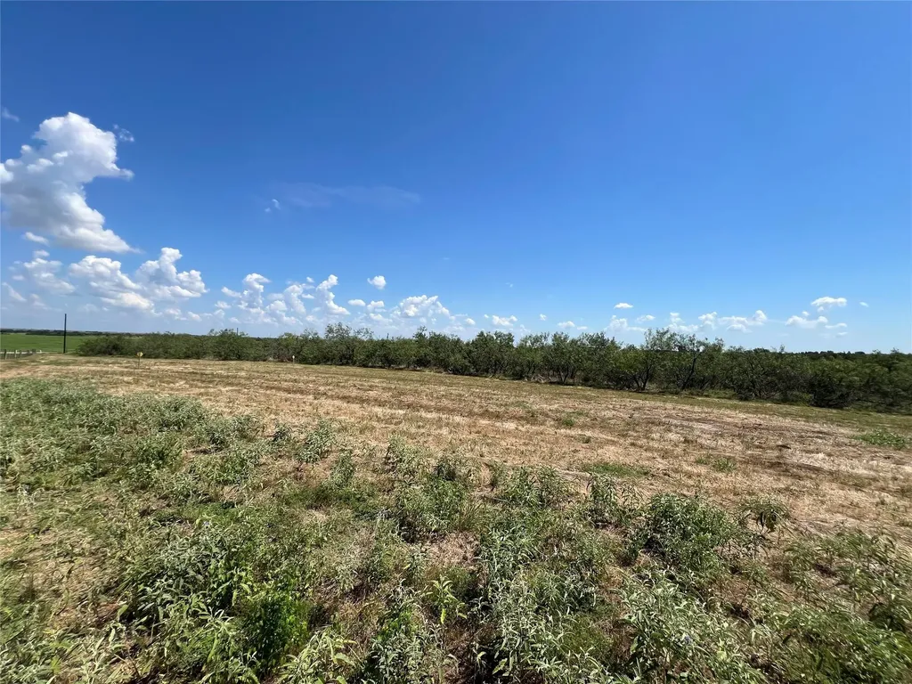 2630 Cr 466 Elgin TX 78621