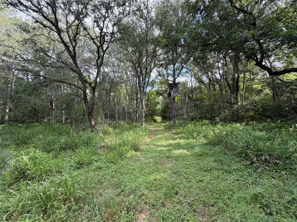 437 Balch Road Elgin TX 78621