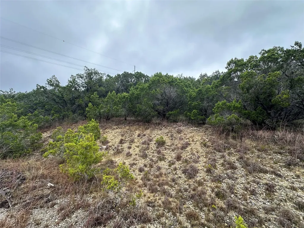 20600 Trinity Cove Lago Vista TX 78645