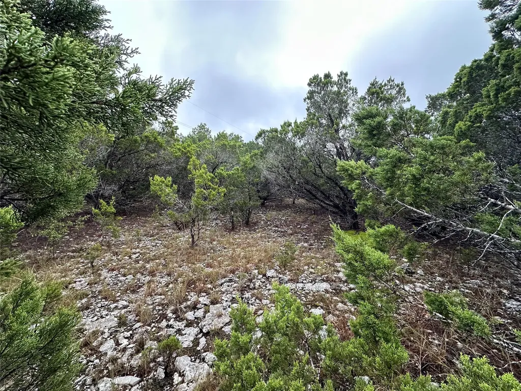 20600 Trinity Cove Lago Vista TX 78645