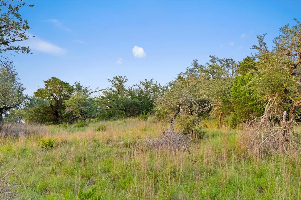 31890 Mirela Ann Road Dripping Springs TX 78620