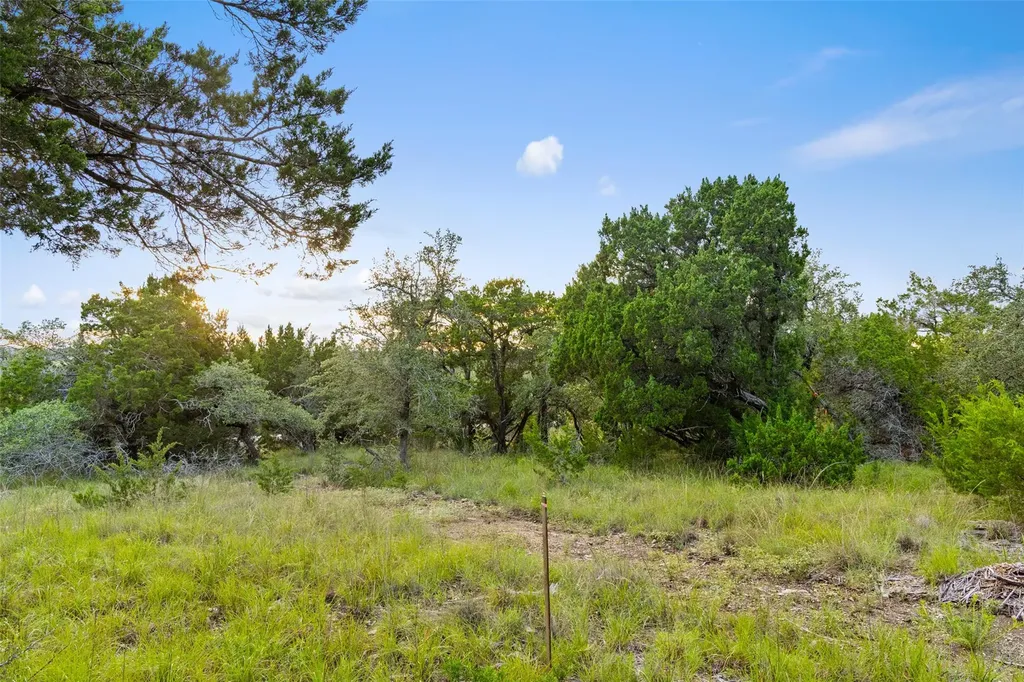 31890 Mirela Ann Road Dripping Springs TX 78620