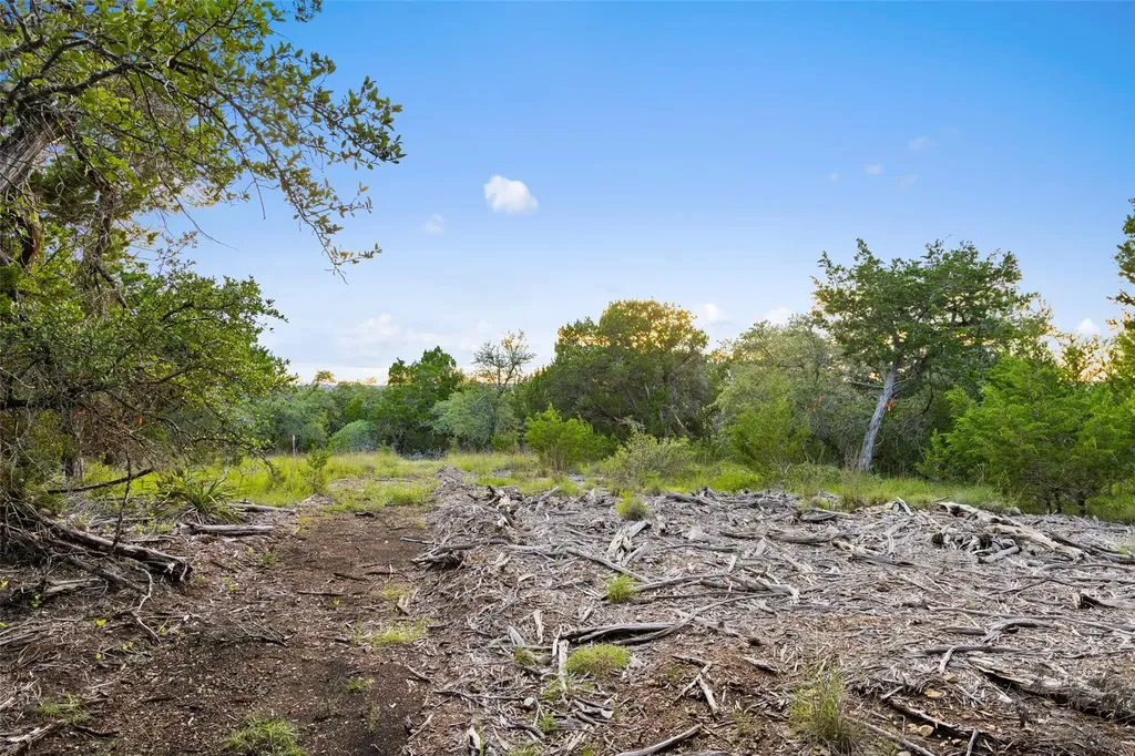 31890 Mirela Ann Road Dripping Springs TX 78620