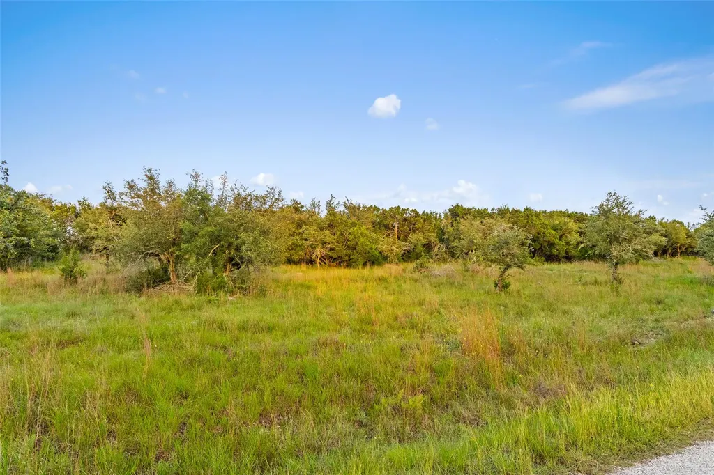 31890 Mirela Ann Road Dripping Springs TX 78620