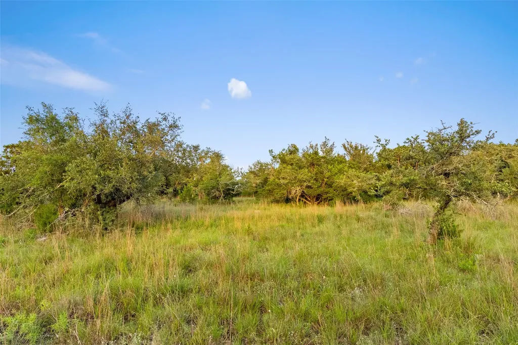 31890 Mirela Ann Road Dripping Springs TX 78620