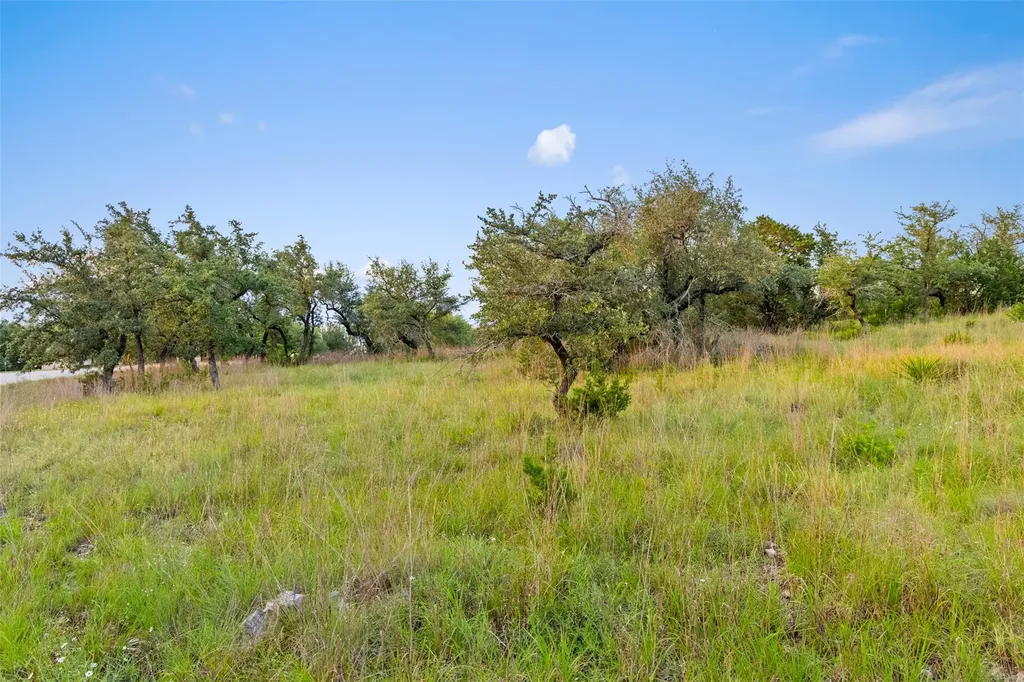 31890 Mirela Ann Road Dripping Springs TX 78620