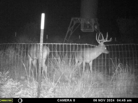 1922 Sd 65071 Rocksprings TX 78880