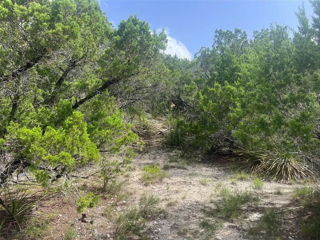 268 Scenic Hills Drive Canyon Lake TX 78133