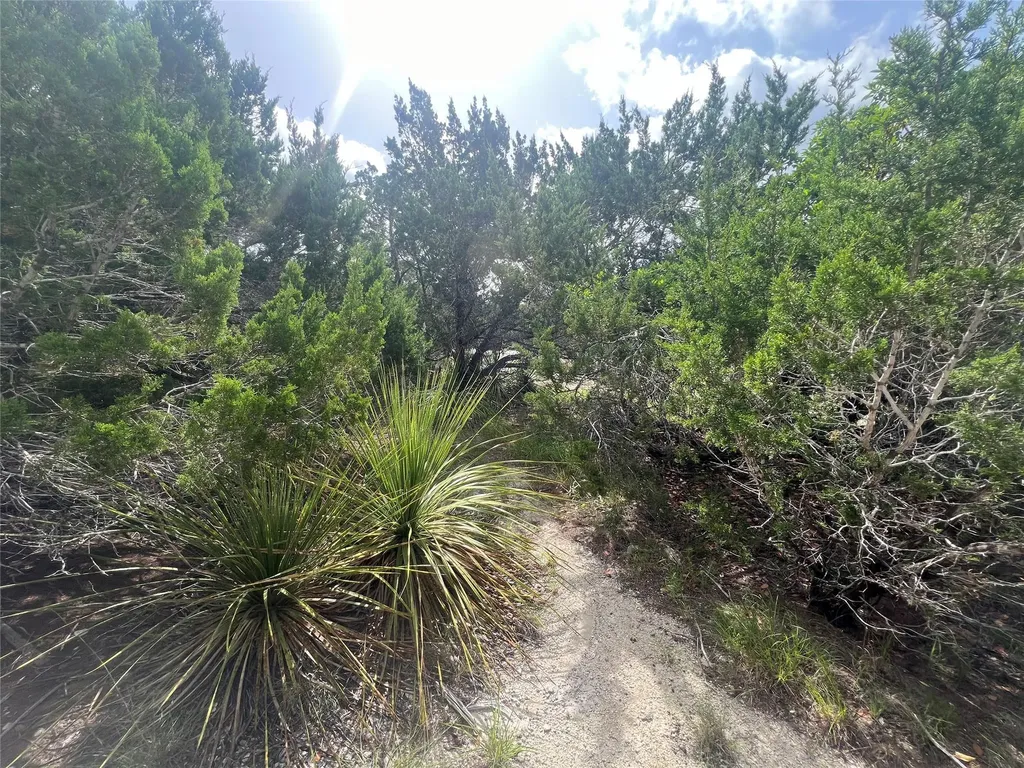 268 Scenic Hills Drive Canyon Lake TX 78133