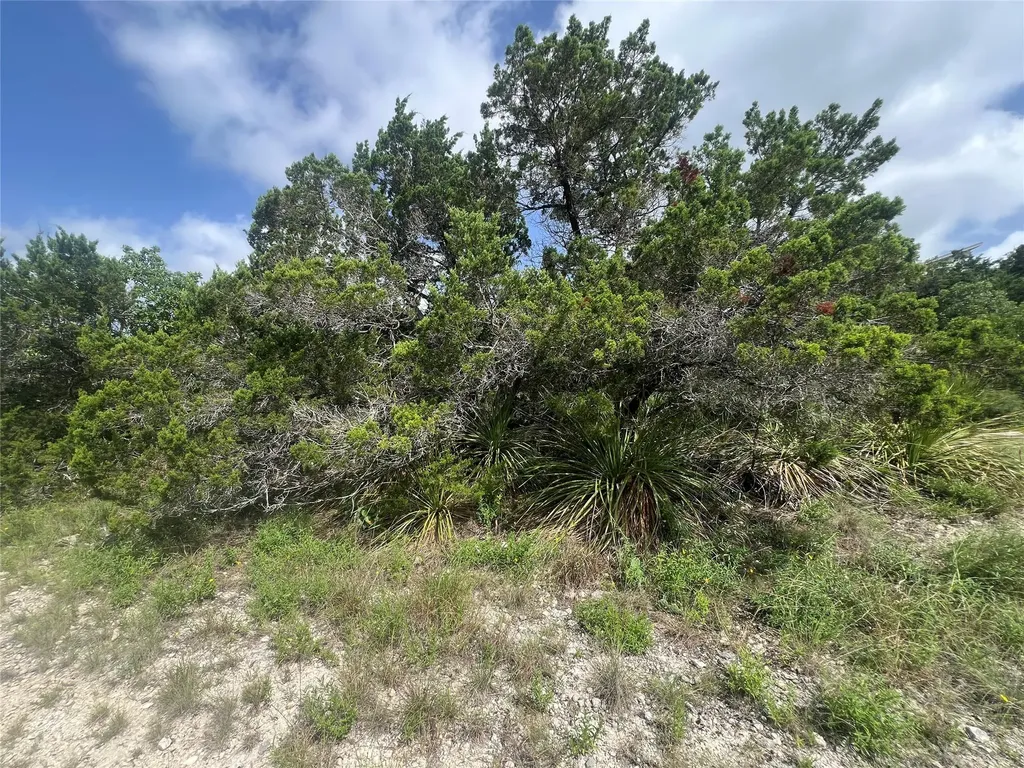268 Scenic Hills Drive Canyon Lake TX 78133