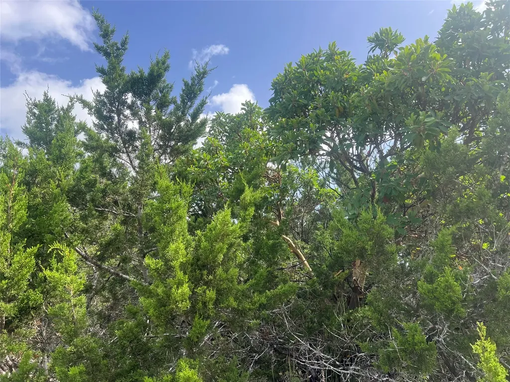 268 Scenic Hills Drive Canyon Lake TX 78133