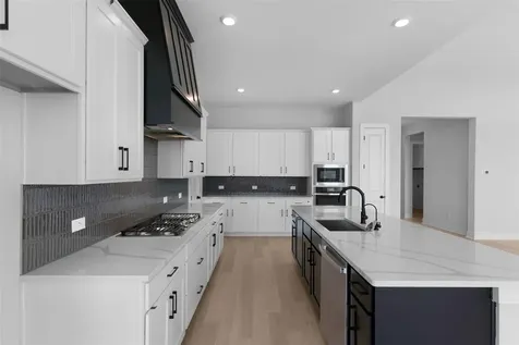 117 Beautiful Wisdom Court Georgetown TX 78628