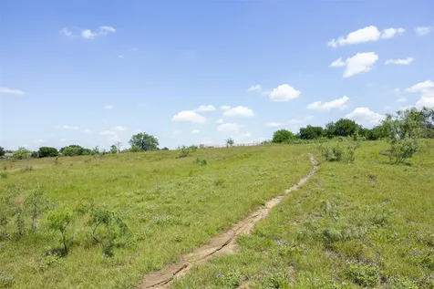 Lot 4 Highway 36 Rogers TX 76569