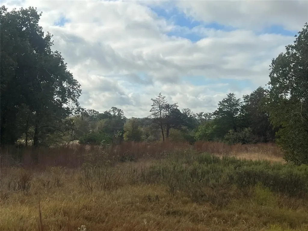 Tract 25 Walleye Creek Lexington TX 78947