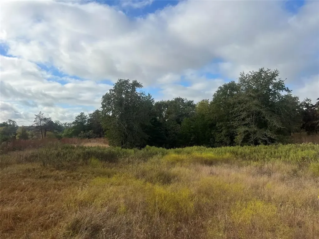 Tract 25 Walleye Creek Lexington TX 78947