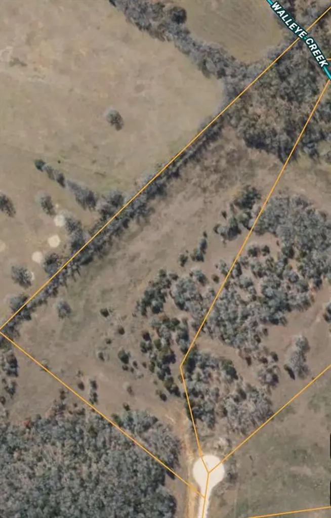 Tract 25 Walleye Creek Lexington TX 78947