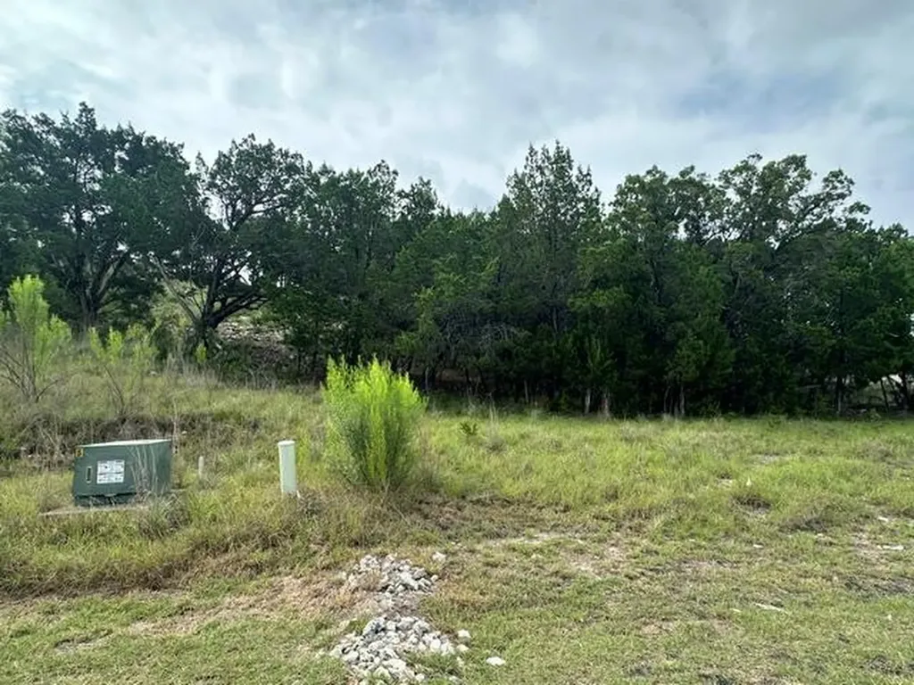 19101 Silver Maple Drive Lago Vista TX 78645