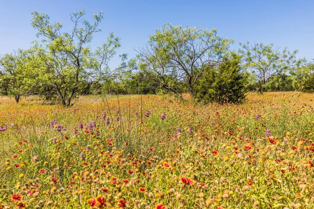 Tract 2 County Road 3300 Kempner TX 76539